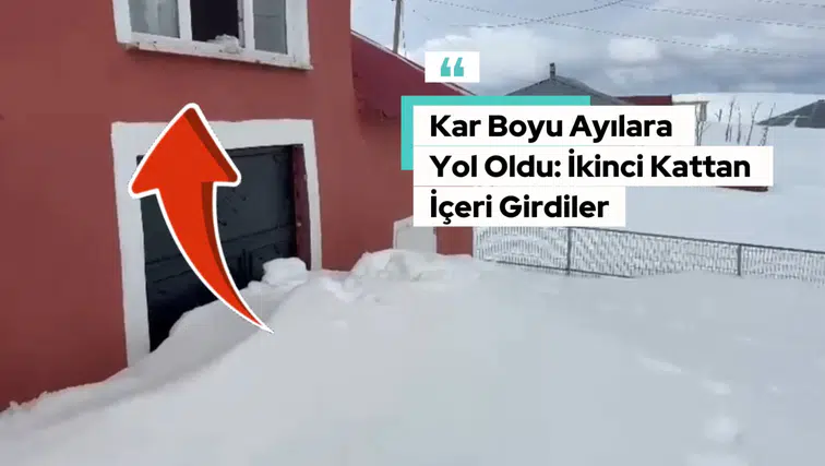 Gümüşhane’de akılalmaz olay: Ayılar bu kez kapıdan değil 2.katın penceresinden girdi!