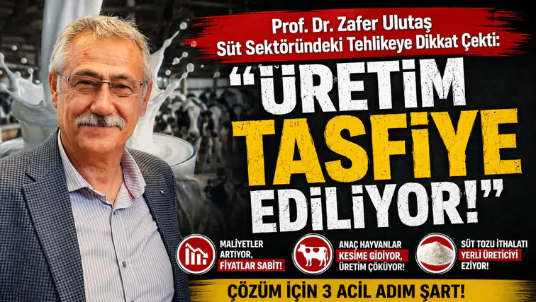 Prof. Dr. Zafer Ulutaş Süt Sektöründeki Tehlikeye Dikkat Çekti: "Üretim Tasfiye Ediliyor"