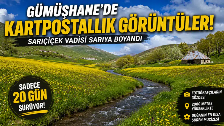 Sadece 20 Gün Sürüyor! Gümüşhane'deki O Vadi Görenleri Kendine Hayran Bırakıyor