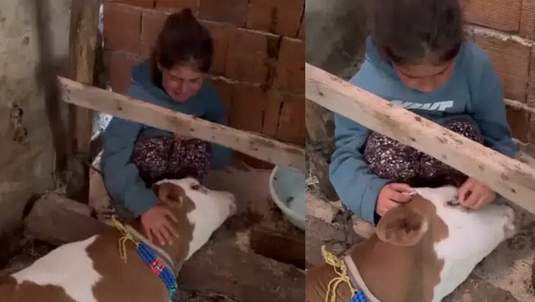 Kazıkbeli Yaylası'nda Gözyaşları Sel Oldu: Minik Nehir'in Acı Vedası Yürekleri Dağladı