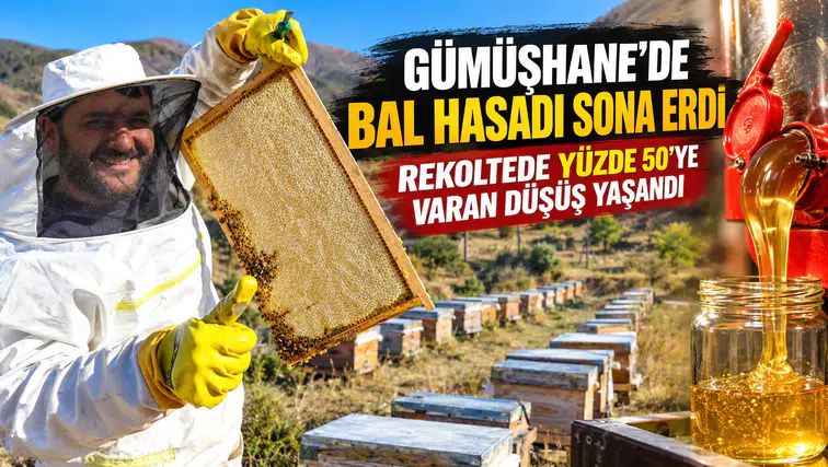 Gümüşhane’de Bal Hasadı Sona Erdi: Rekoltede Yüzde 50'ye Varan Düşüş Yaşandı