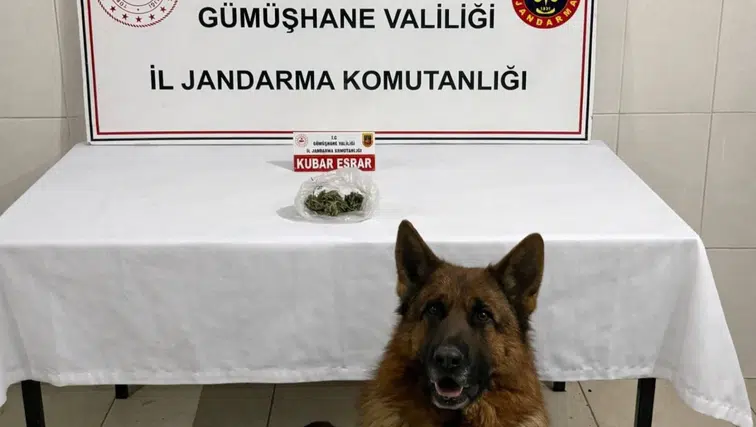 Gümüşhane İl Jandarma Komutanlığı’ndan Uyuşturucu Operasyonu: Bir Gözaltı