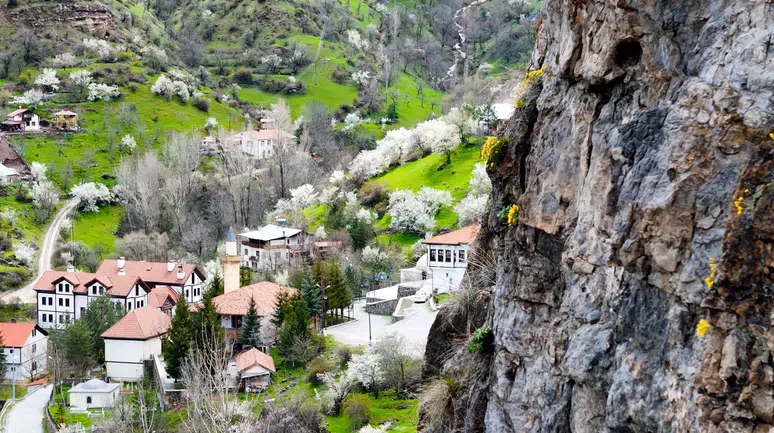 Kayaların göbeğinden altın gibi fışkırıyor: Görenler gözlerine inanamadı!