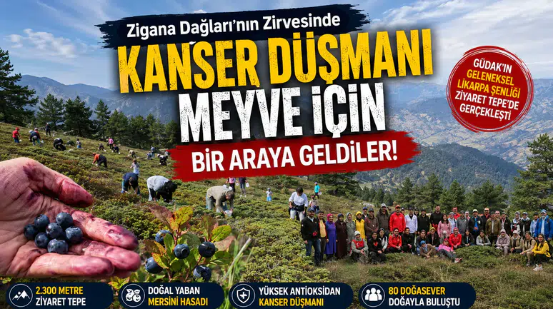 Gümüşhane'de 80 Doğasever Doğal Yaban Mersini Hasadı Yaptı