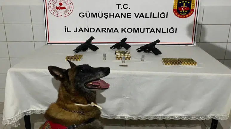 Gümüşhane’de Düğün Magandalarına Jandarma Freni: Çok Sayıda Silah Ele Geçirildi