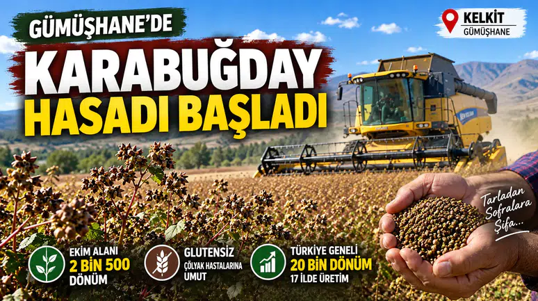 Kelkit Karabuğdayı Çölyak Hastalarına Umut Oldu
