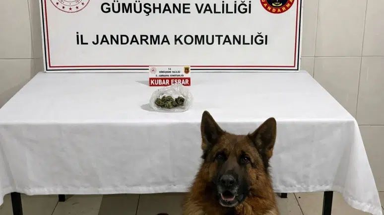 Gümüşhane İl Jandarma Komutanlığı’ndan Uyuşturucu Operasyonu: Bir Gözaltı