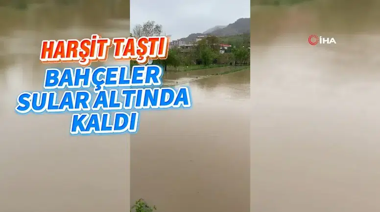 Dere Islahı Bahçeleri Vurdu: Harşit Çayı Taştı, Vatandaş Mağdur Oldu