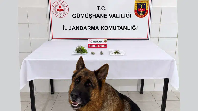 Söğütlü Beldesinde Uyuşturucu Operasyonu: Esrar Ele Geçirildi