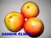 sandk elmas 001.jpg