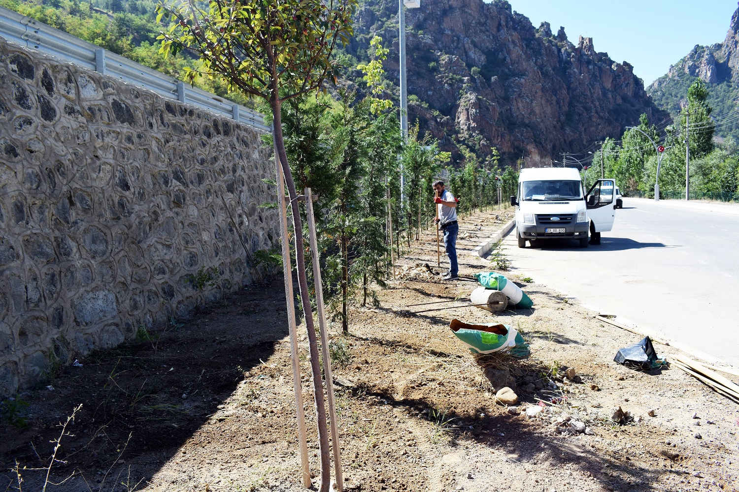 Torul’da peyzaj ve ağaçlandırma çalışmaları devam ediyor 2