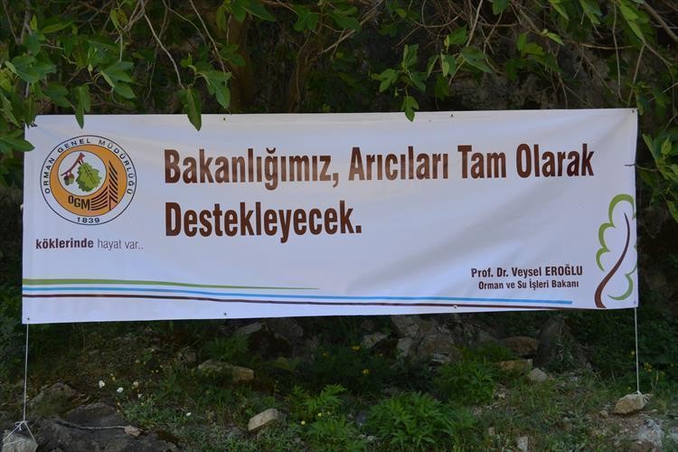 Kürtün'de Arıcılara Tam Destek 2