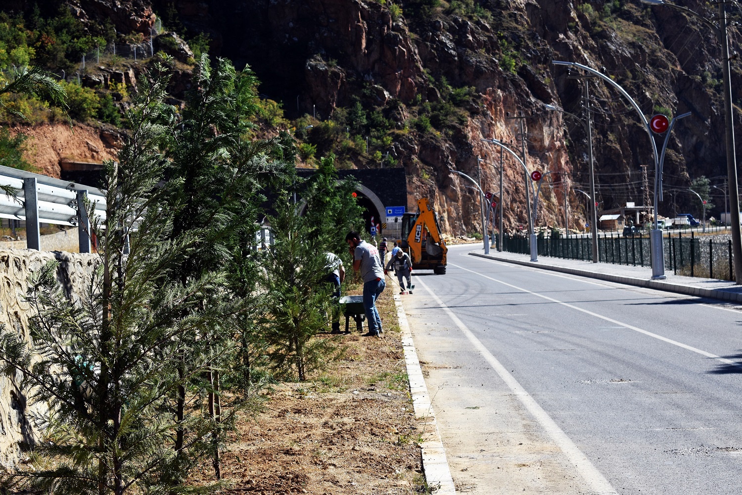 Torul’da peyzaj ve ağaçlandırma çalışmaları devam ediyor 6