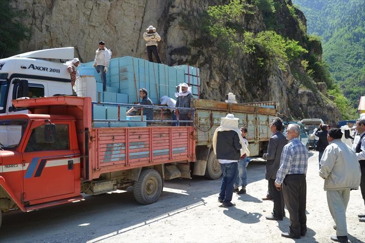 Kürtün'de Arıcılara Tam Destek 4