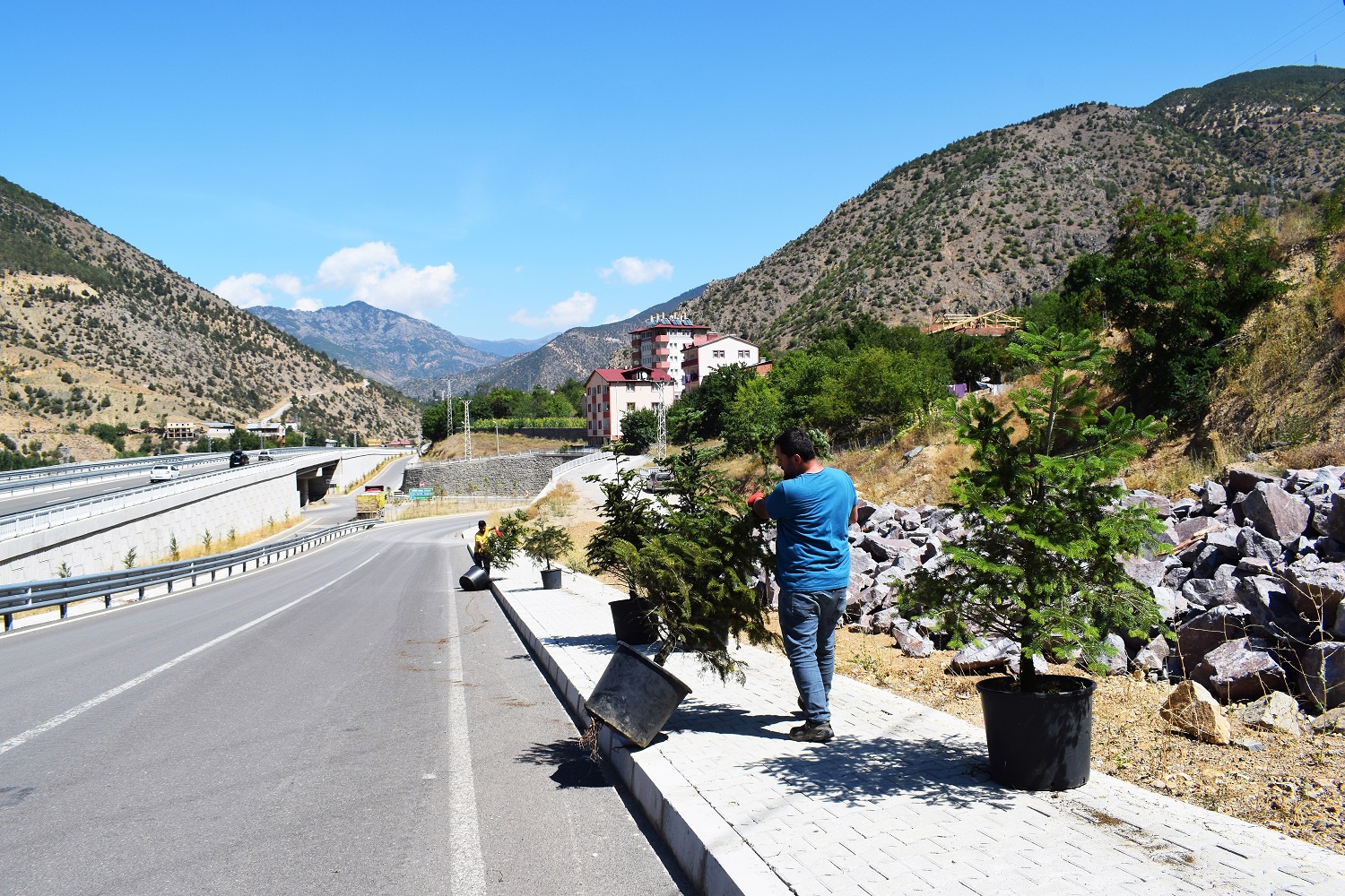 Torul’da peyzaj ve ağaçlandırma çalışmaları devam ediyor 5
