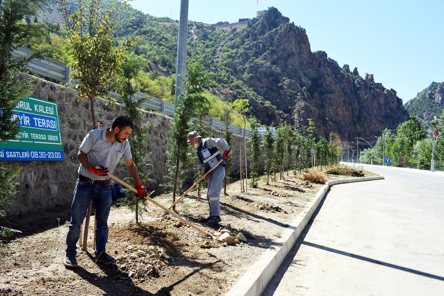 Torul’da peyzaj ve ağaçlandırma çalışmaları devam ediyor 9