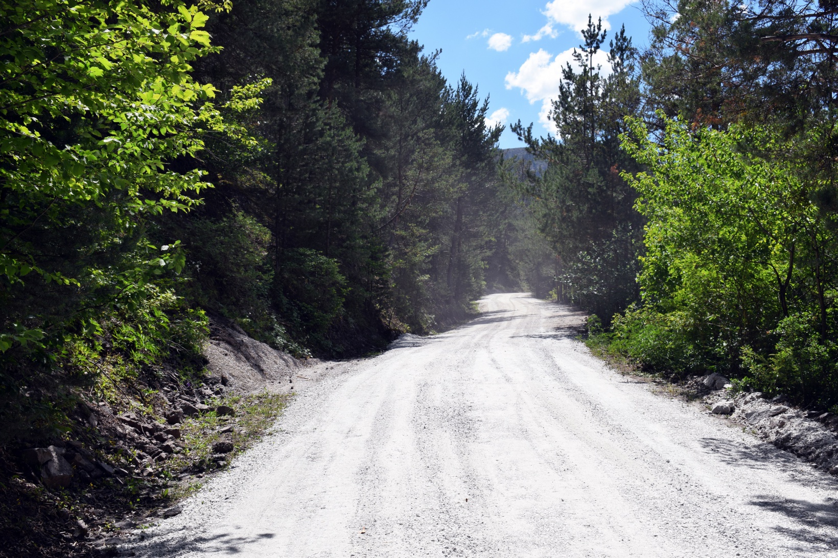 Torul Belediyesi’nden 5 km’lik stabilize yol 4