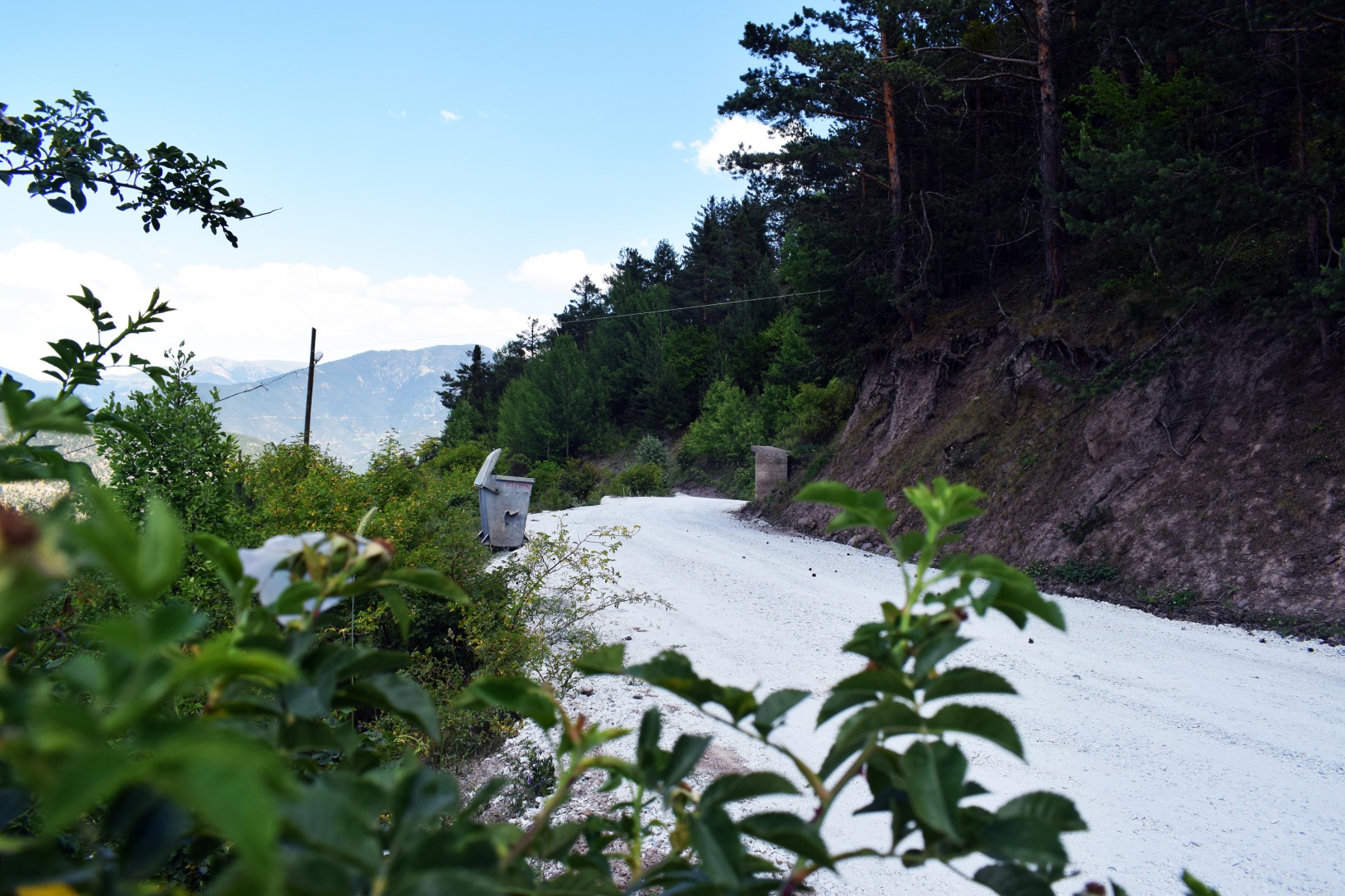 Torul Belediyesi’nden 5 km’lik stabilize yol 1