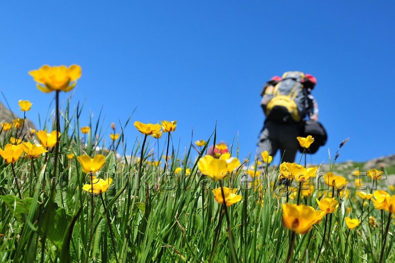 Gümüşhane'nin Turizm İstatistikleri Açıklandı 1