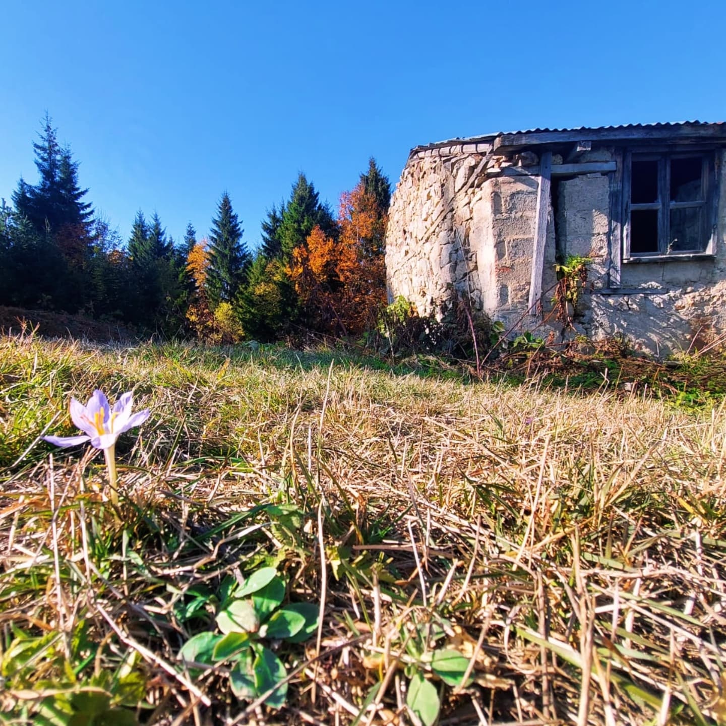Kelkit Türk Eğitim-Sen ailesinden Örümcek Ormanları gezisi 3