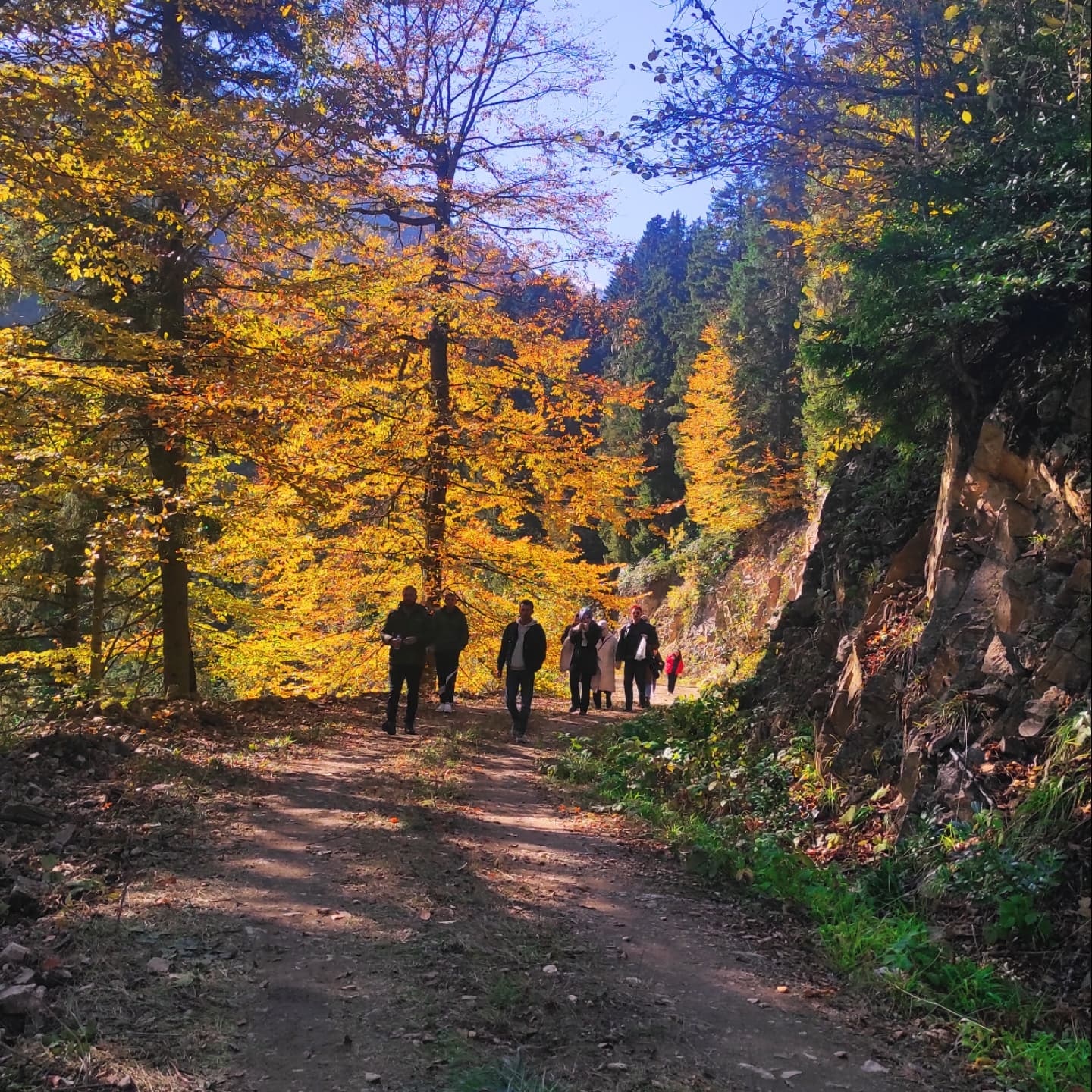 Kelkit Türk Eğitim-Sen ailesinden Örümcek Ormanları gezisi 4