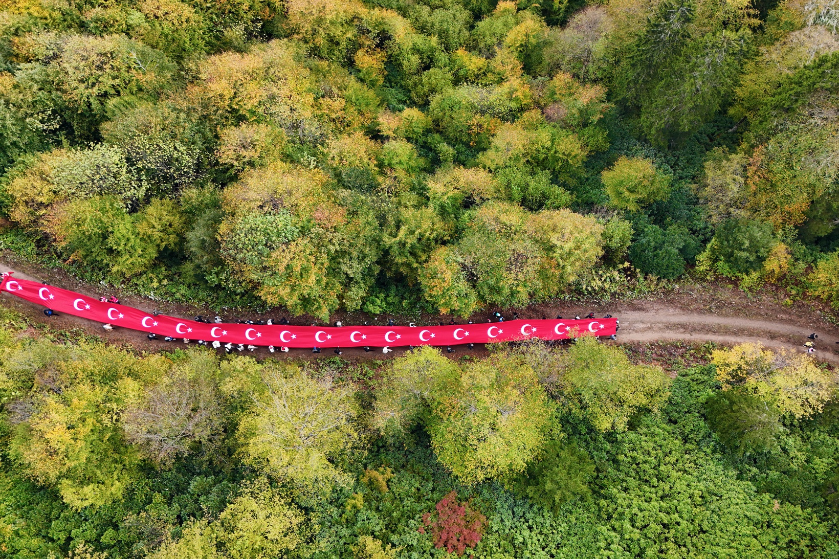 Örümcek Ormanlarında "Ormanlar İçin El Ele" etkinliği yapıldı 40
