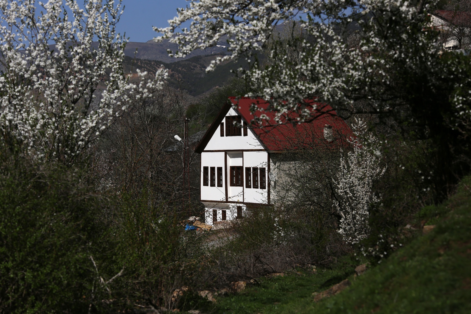Tarihi mahalle bahar renklerine büründü, görsel şölen oluştu 4