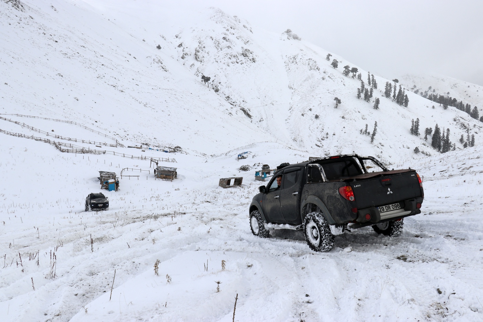 Zorlu yolları bu kez yaban hayvanları için aştılar 33