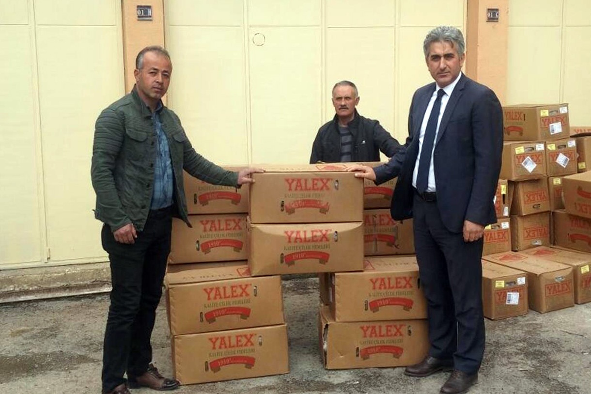 Gümüşhane’de çiftçilere 50 bin çilek fidesi dağıtıldı 2