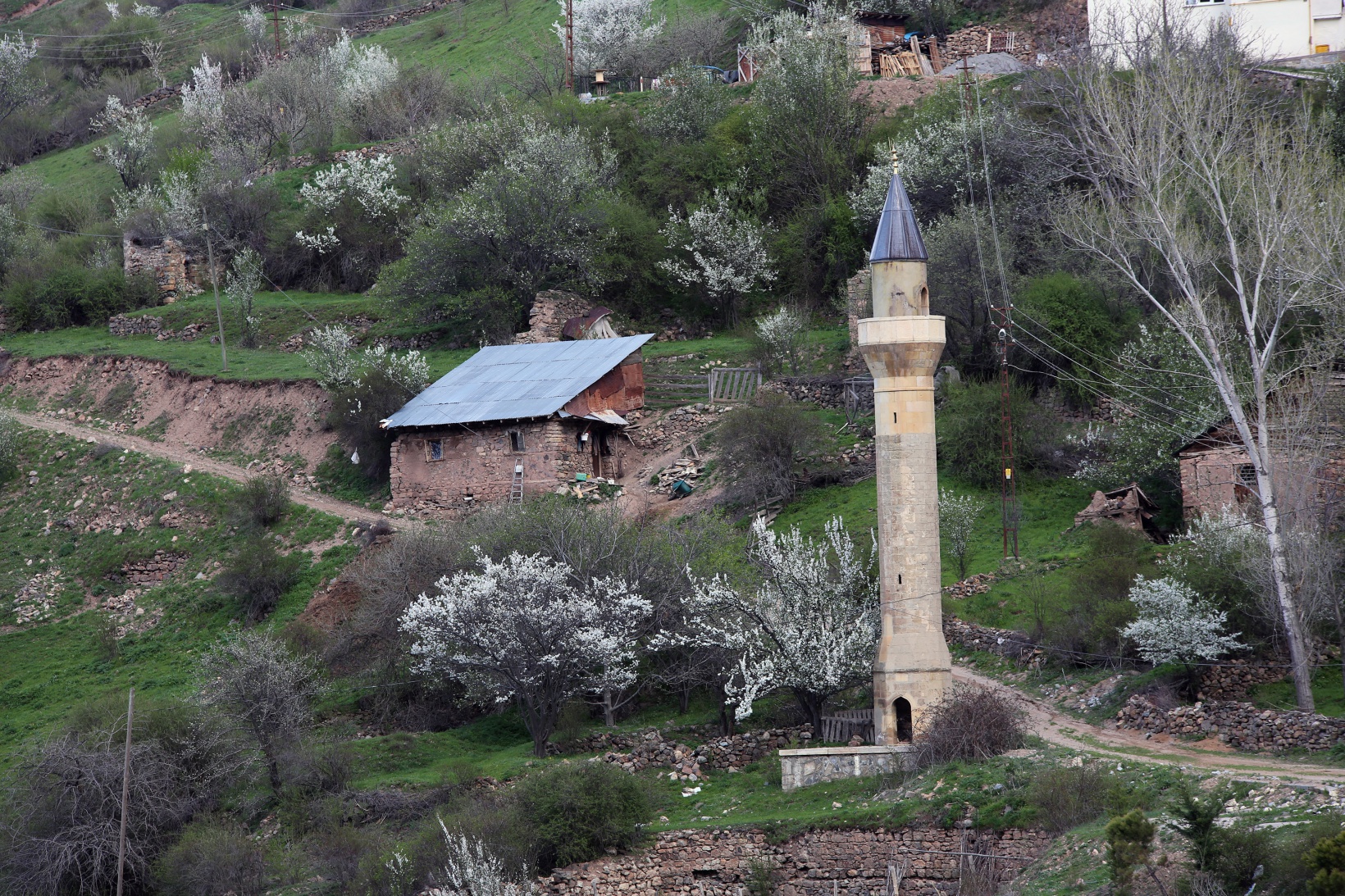 Tarihi mahalle bahar renklerine büründü, görsel şölen oluştu 11
