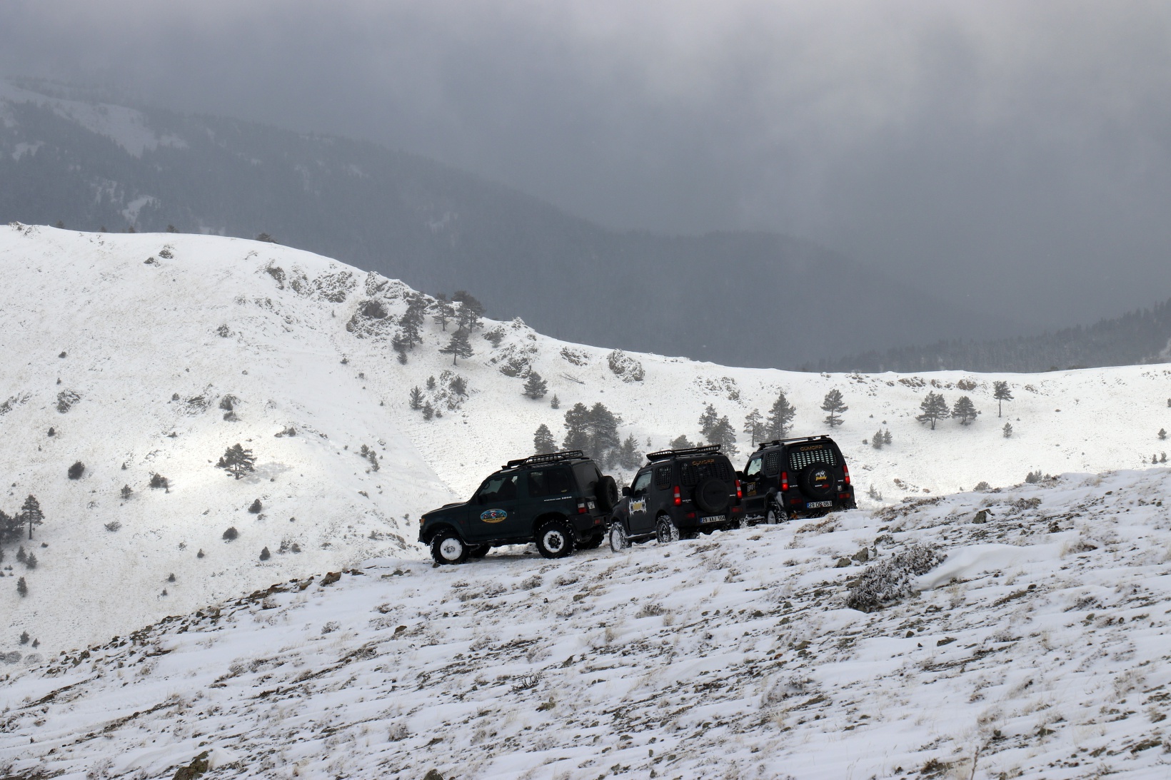 Zorlu yolları bu kez yaban hayvanları için aştılar 32