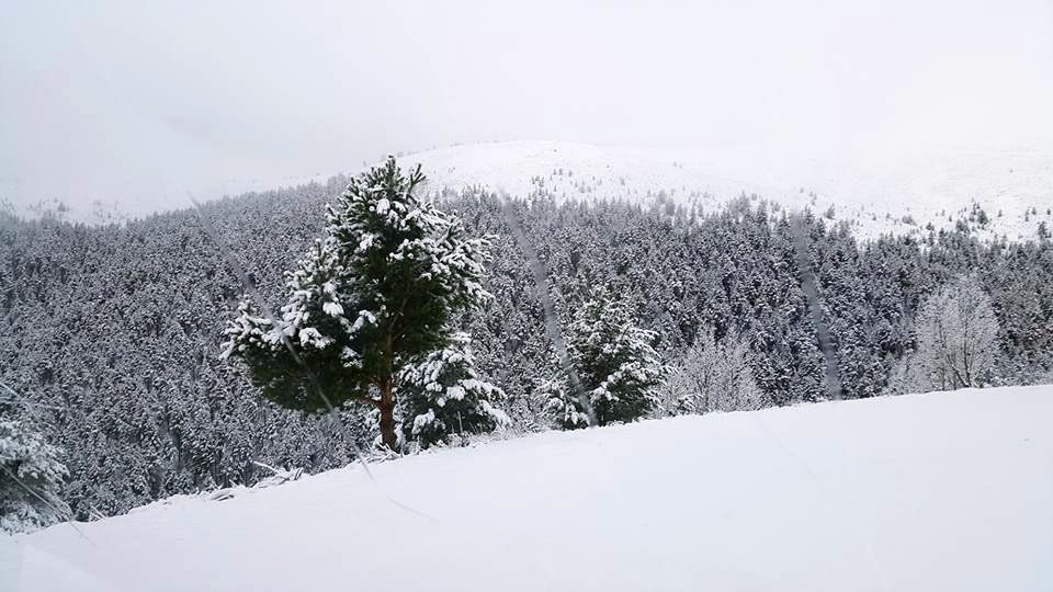 Şaka değil gerçek: Gümüşhane'ye bu gece kar yağdı 1