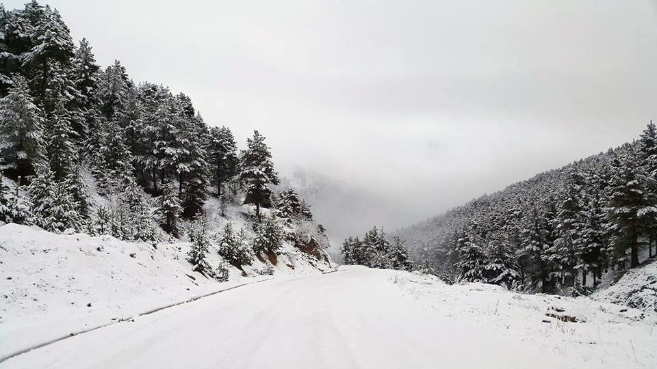 Şaka değil gerçek: Gümüşhane'ye bu gece kar yağdı 3