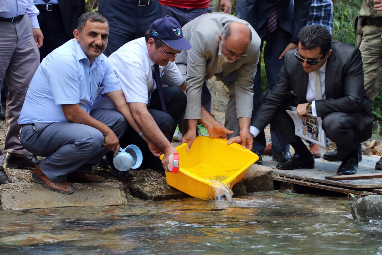 Torul demokrasi nöbetine aralıksız devam ediyor 4