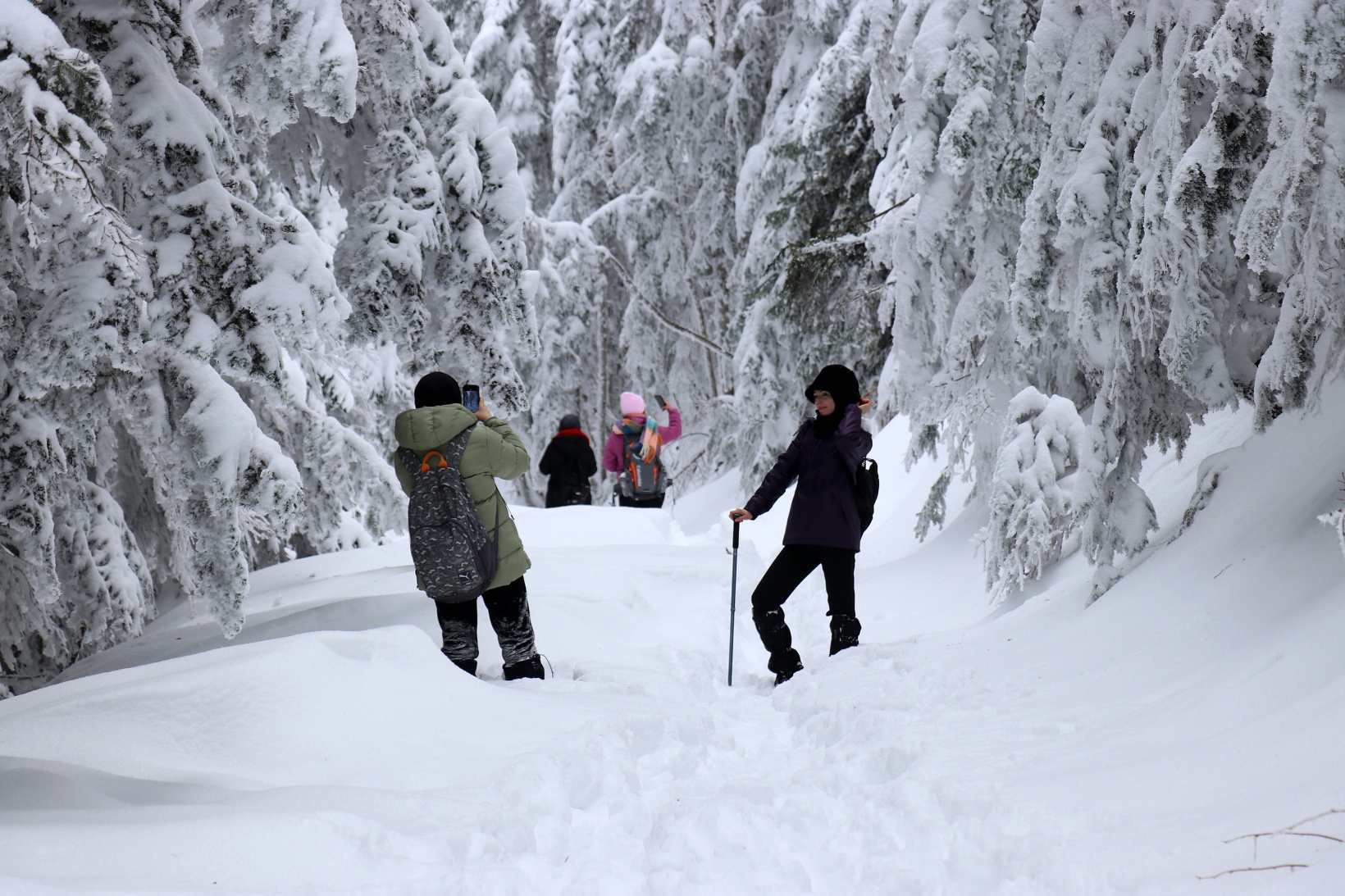 Gümüşhane'nin zirvelerinde kutupları aratmayan yürüyüş 22