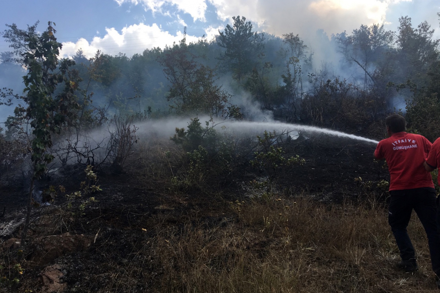 Gümüşhane’de örtü yangını 3