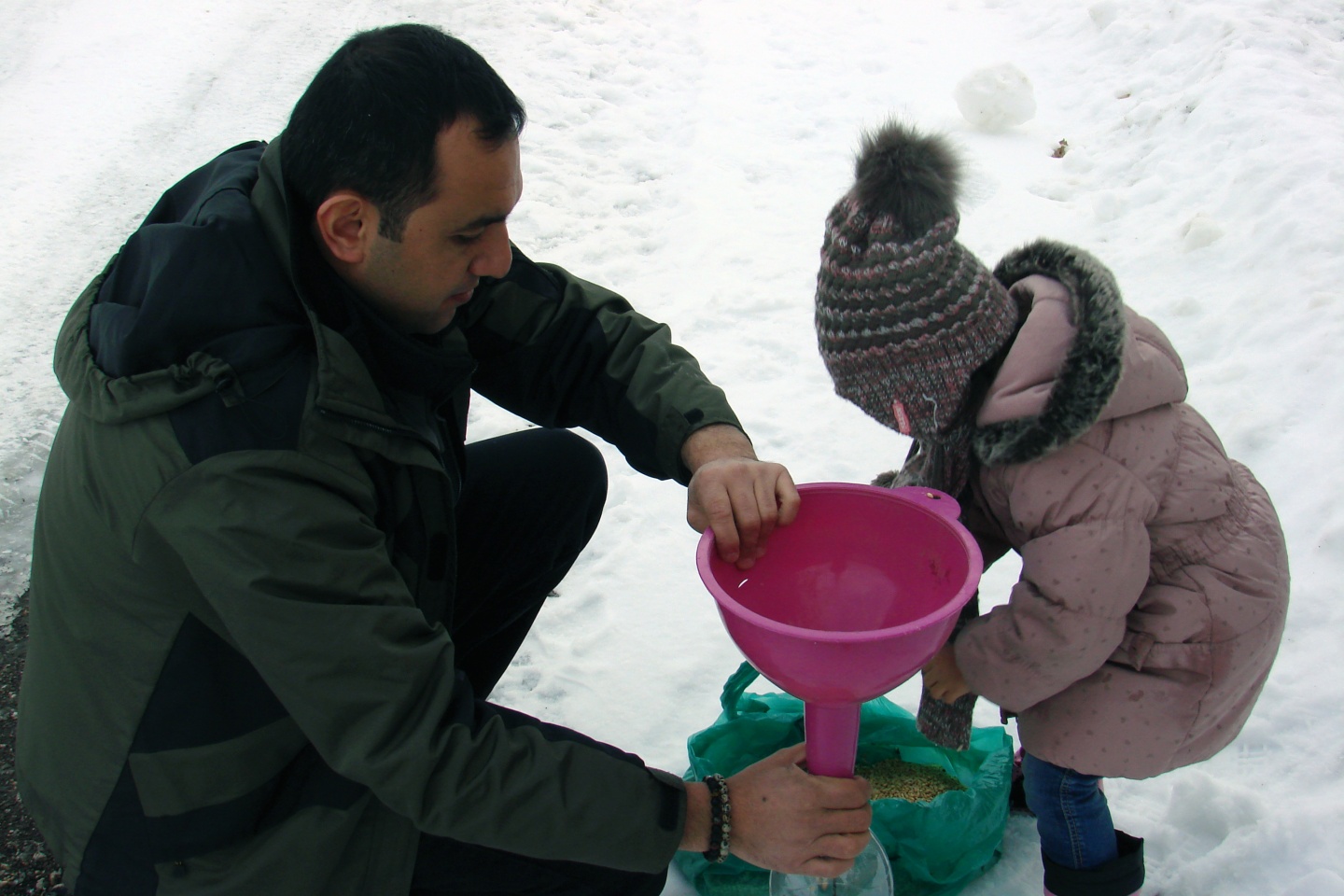 Yaban hayatını unutmayın 1