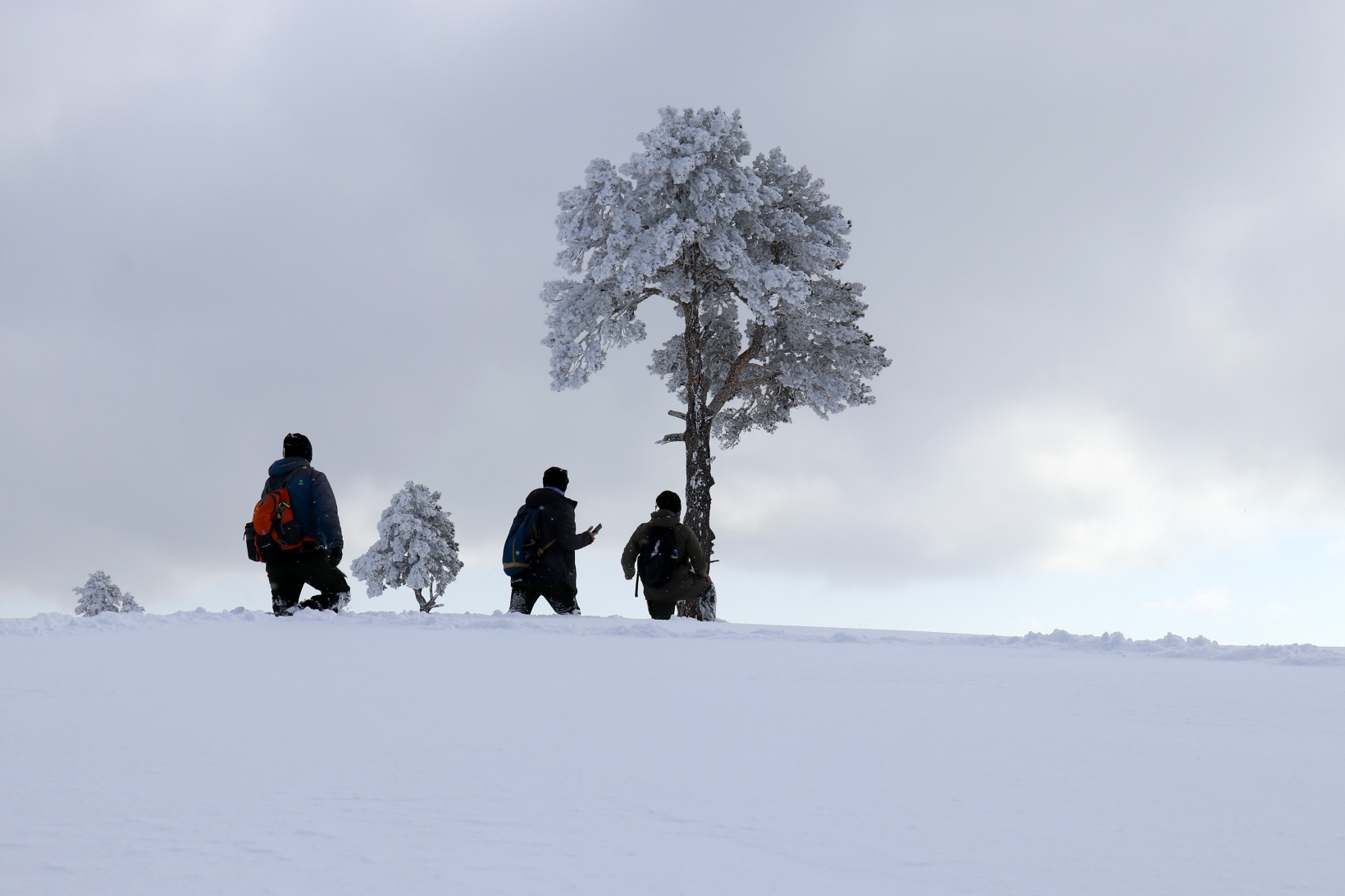 Gümüşhane'nin zirvelerinde kutupları aratmayan yürüyüş 4