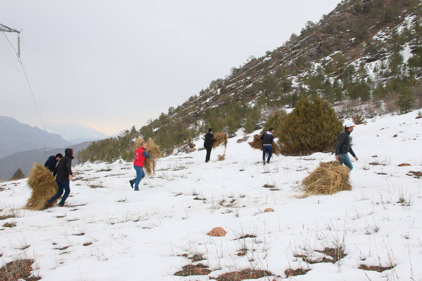 Dünya Yaban Hayatı günü kutlandı 3