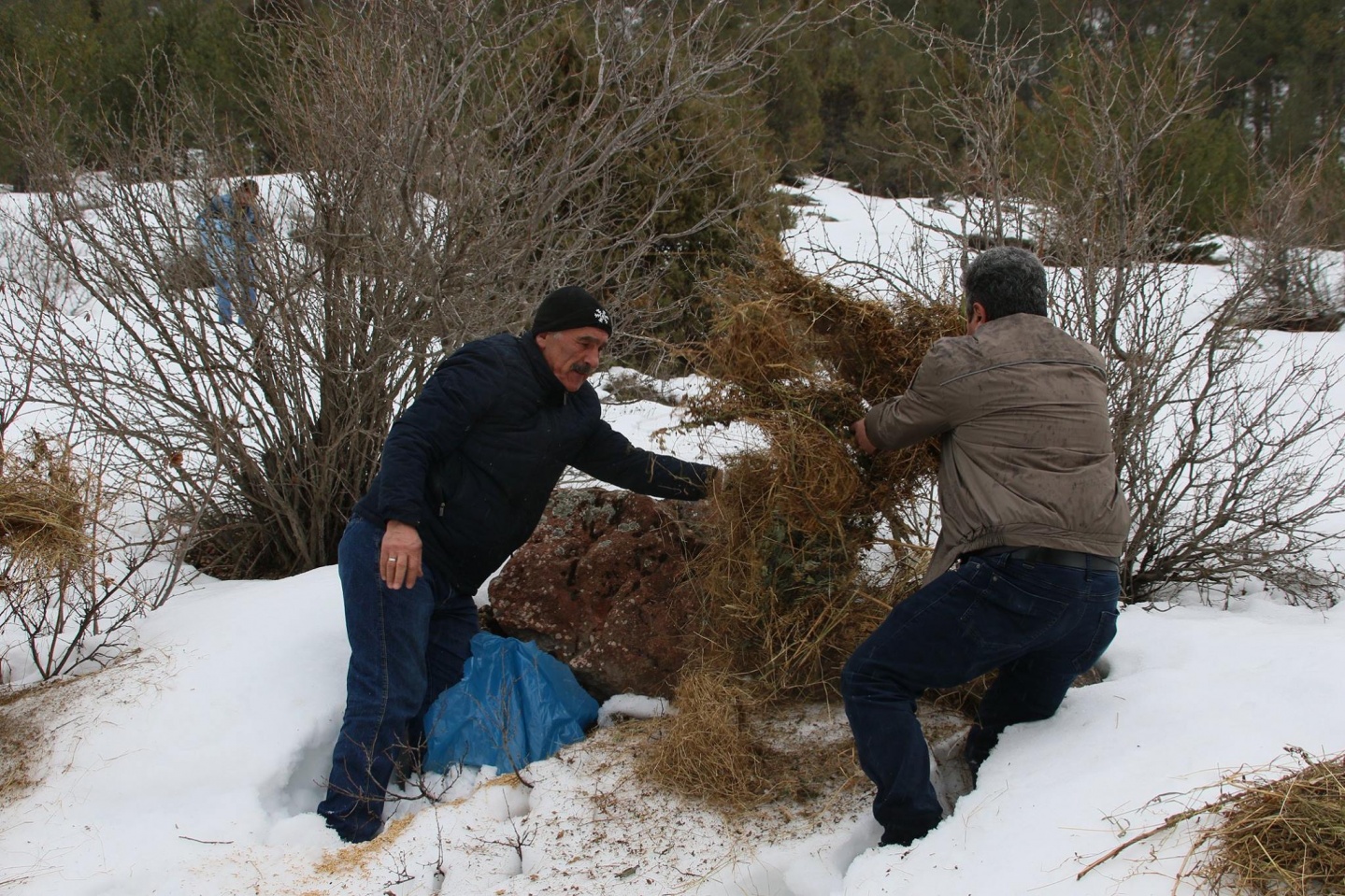 Dünya Yaban Hayatı günü kutlandı 8