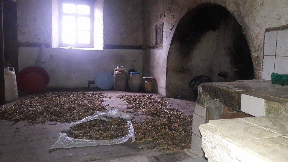 Araköy’ün asırlık geleneği: Harç Ekmeği 4