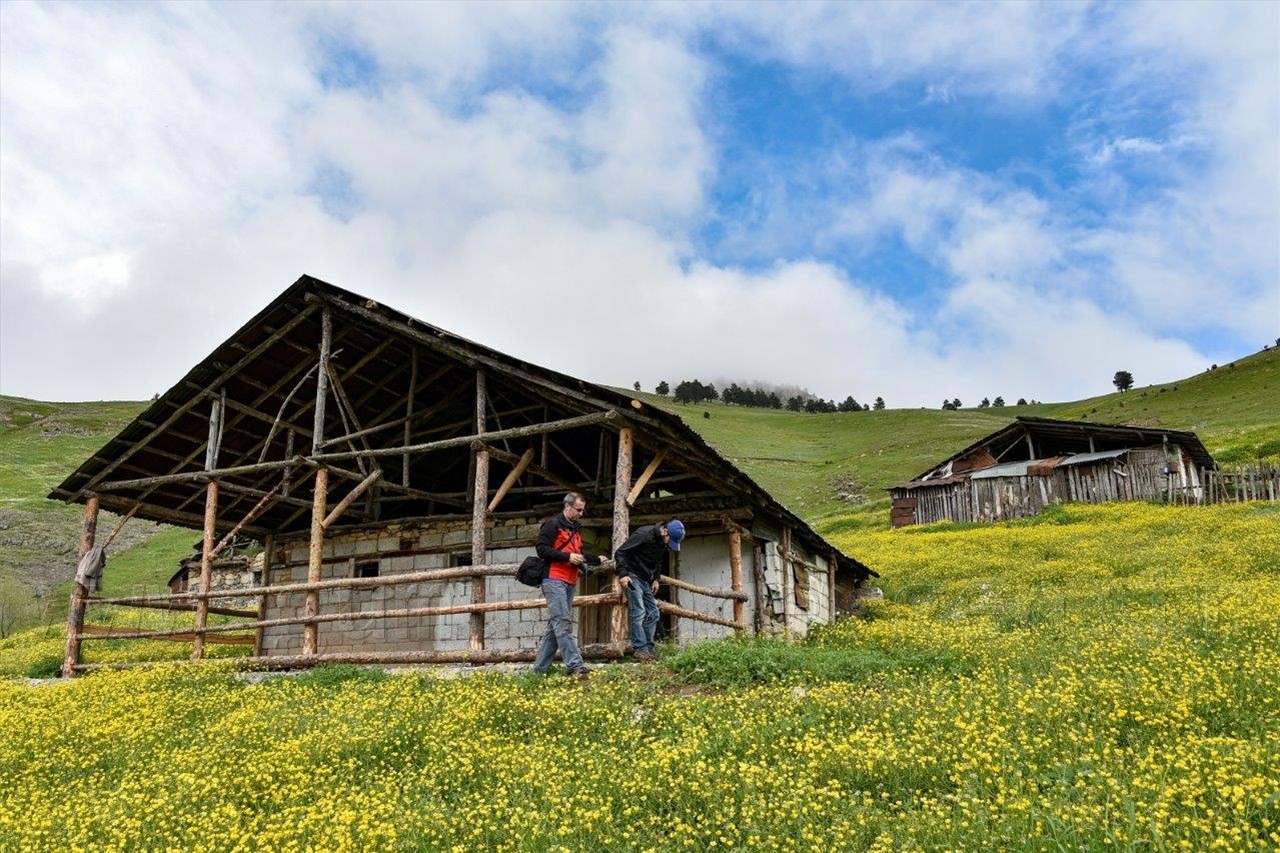 Gümüşhane'nin Bitki Sayısı ve Çeşidinde Artış 3