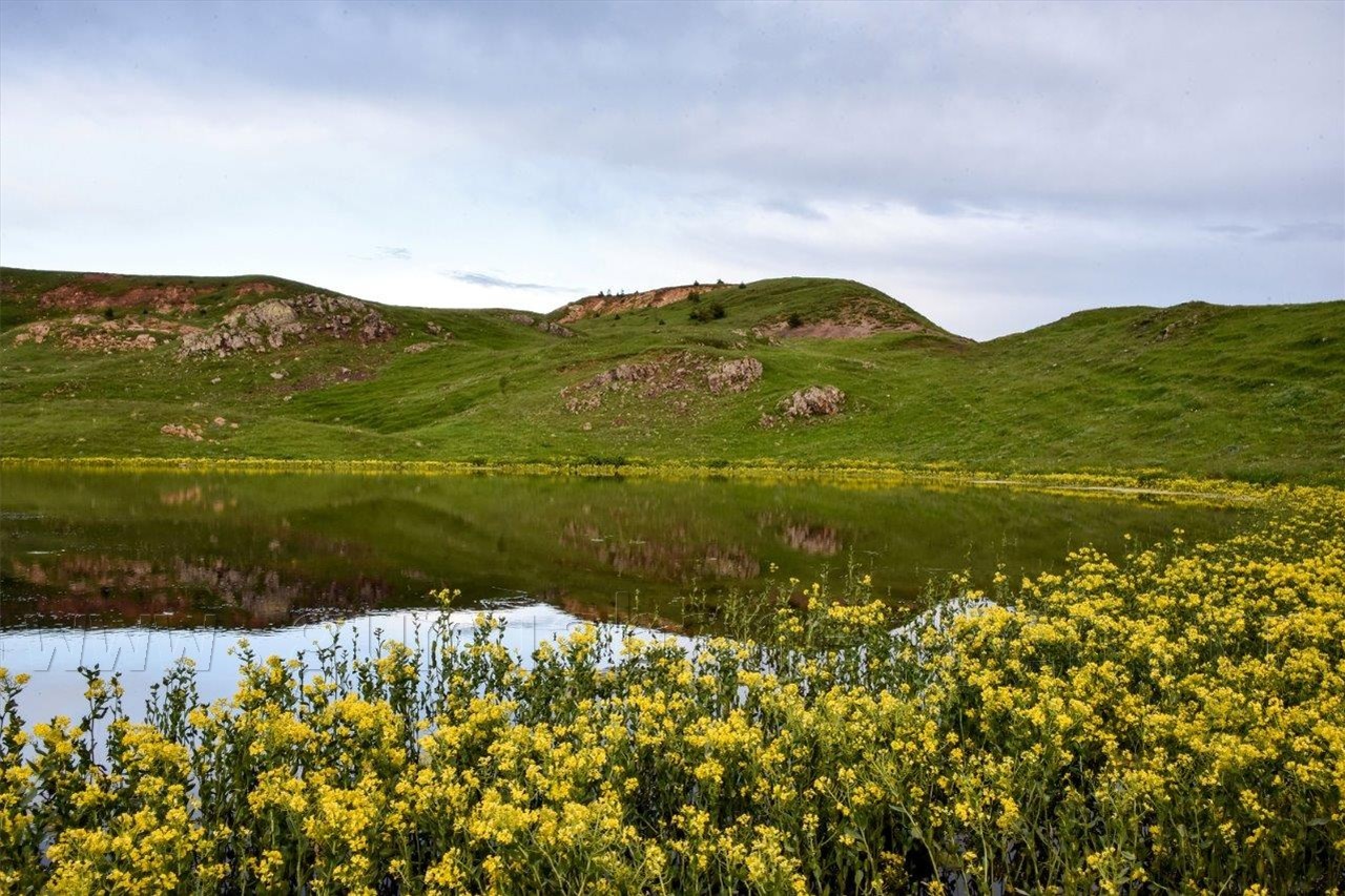 Gümüşhane'nin Bitki Sayısı ve Çeşidinde Artış 5