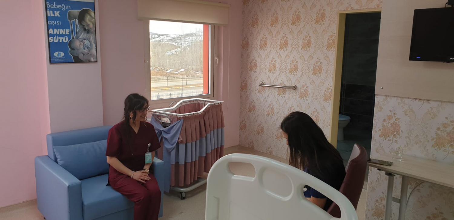 Kelkit ve Şiran Devlet Hastaneleri anne dostu hastane oldu 17