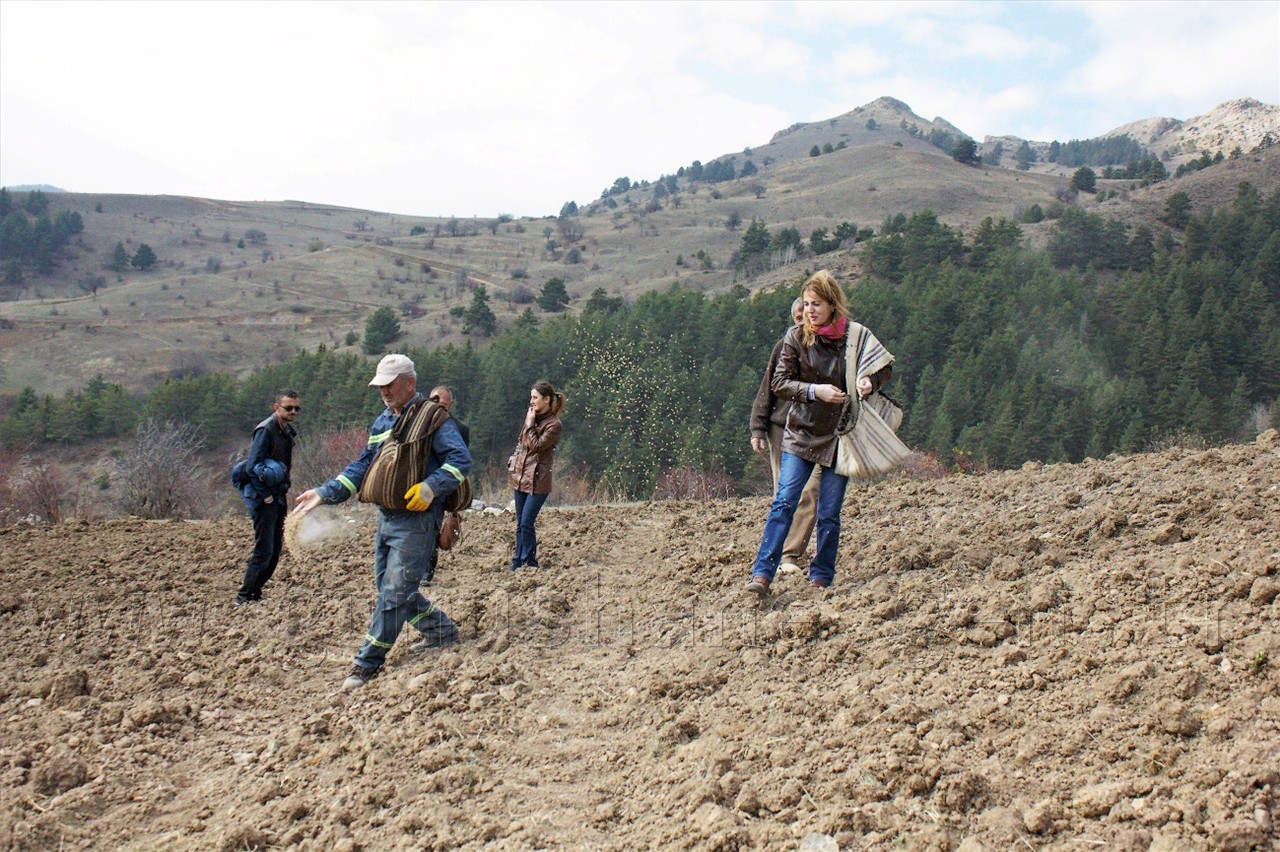 Gümüşhane'de Keklik Popülasyonu Artıyor 1