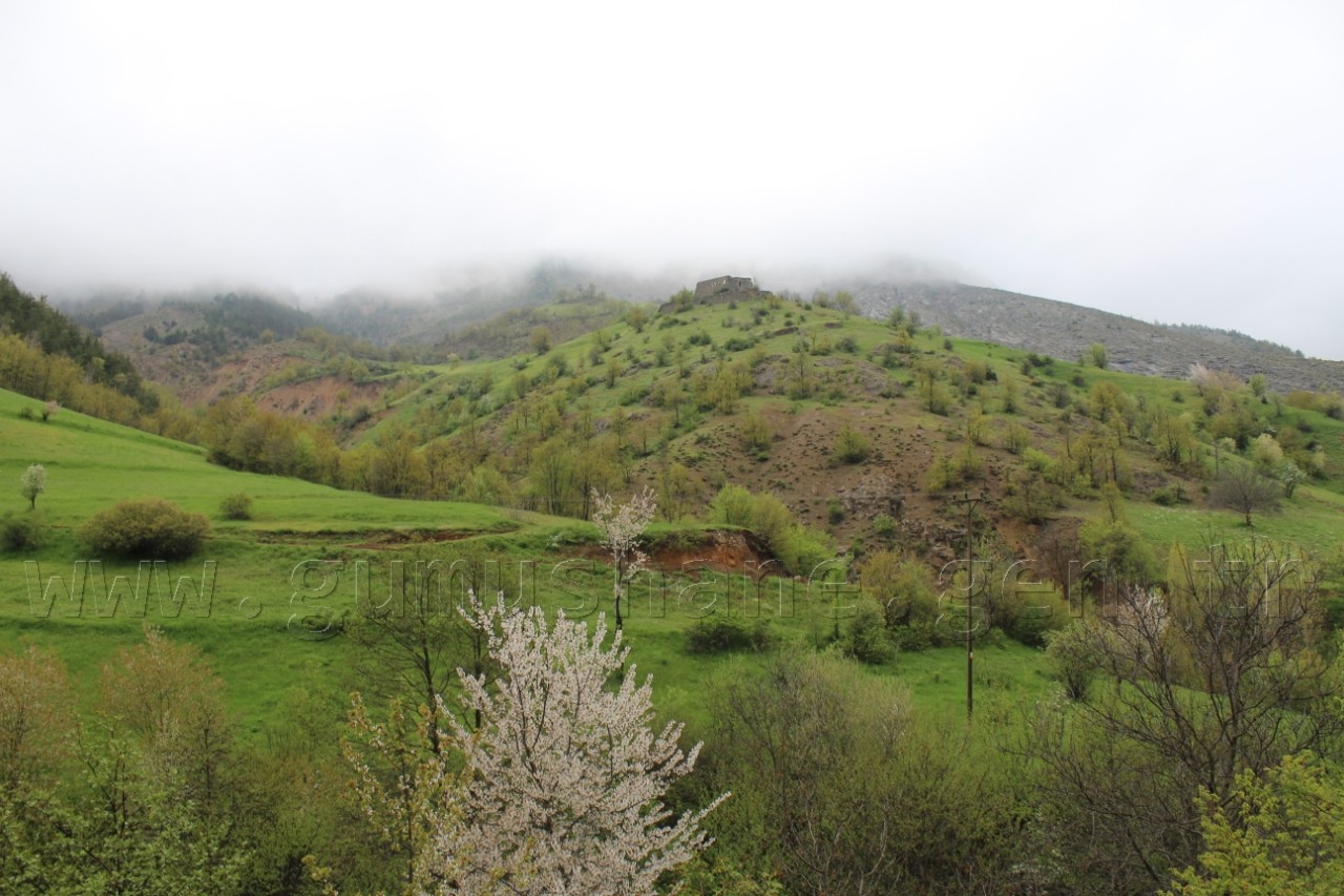 'Güvemli’de katliam istemiyoruz!' 6