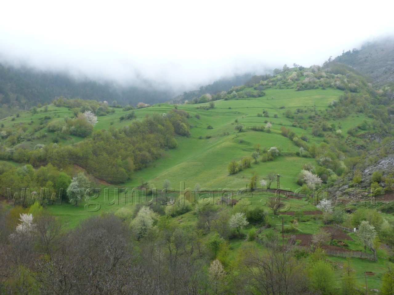 'Güvemli’de katliam istemiyoruz!' 7