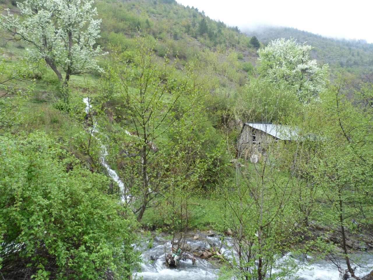 'Güvemli’de katliam istemiyoruz!' 8