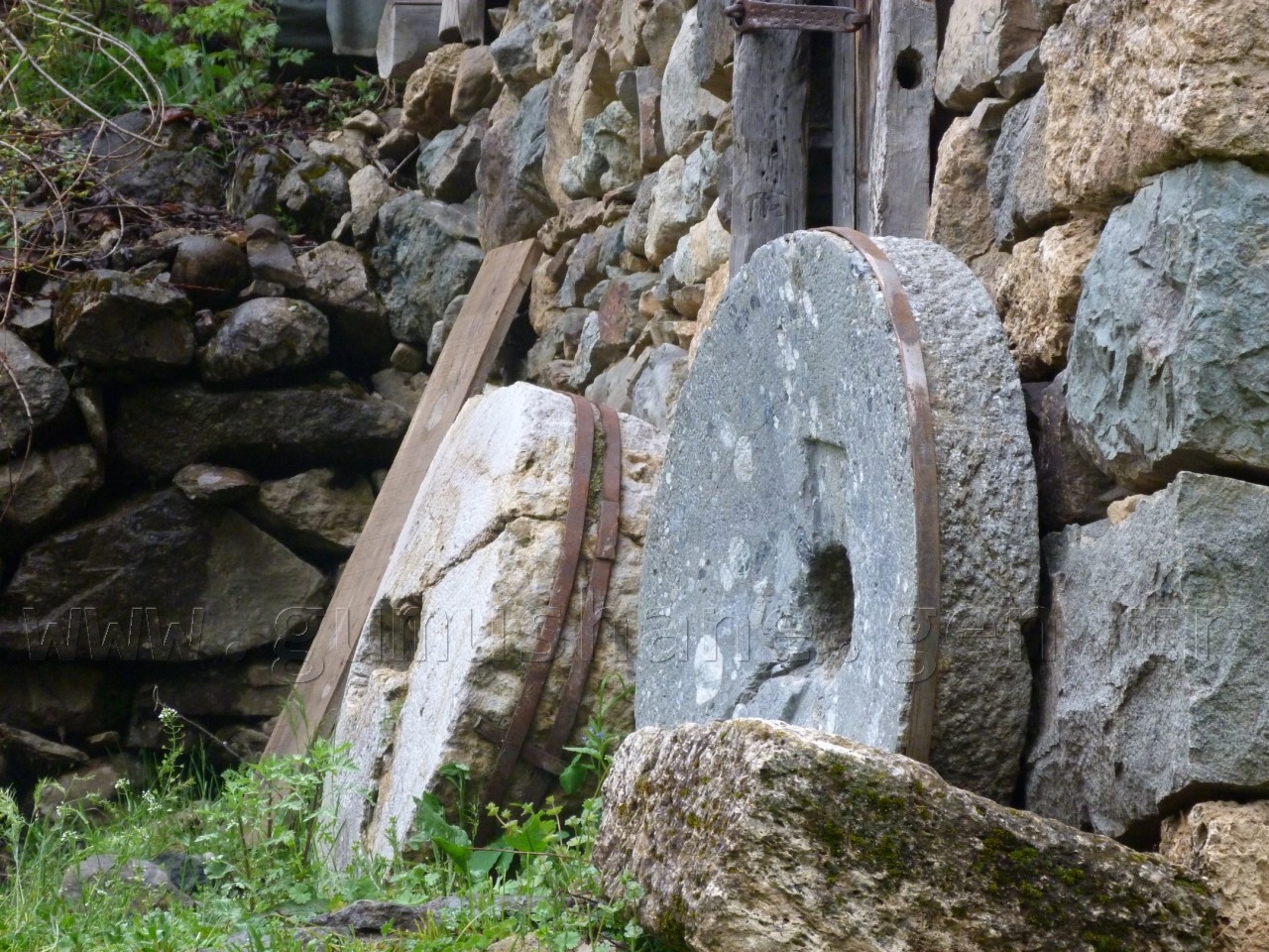 'Güvemli’de katliam istemiyoruz!' 11