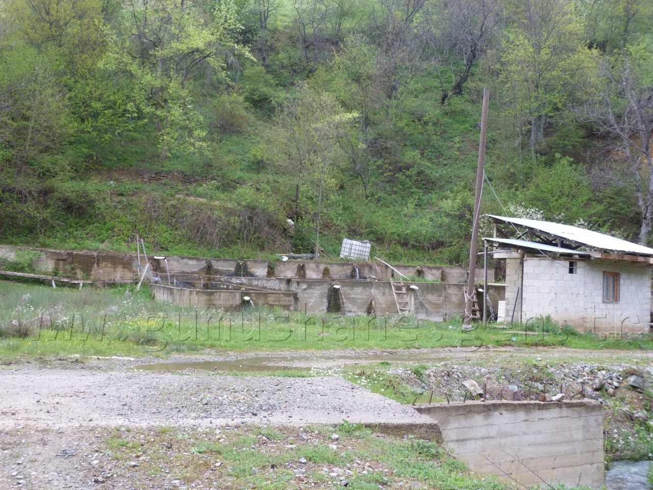 'Güvemli’de katliam istemiyoruz!' 12